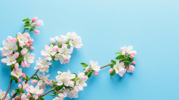Гороскоп на май 2025 года для всех знаков зодиака Гороскоп на май 2025 года для всех знаков зодиака