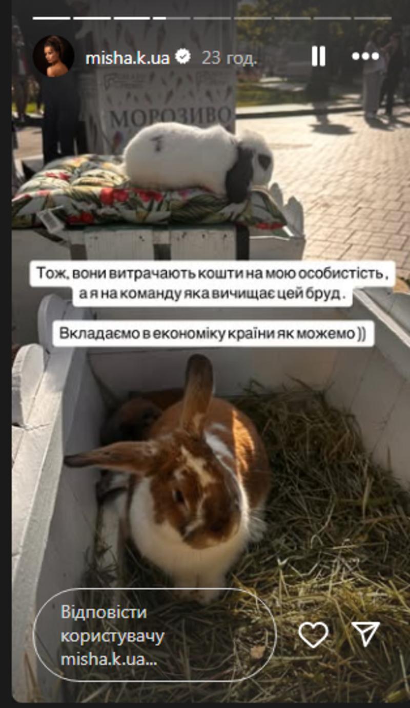 Ксения Мишина стала жертвой атаки ботов instagram.com/misha.k.ua Ксения Мишина стала жертвой атаки ботов instagram.com/misha.k.ua