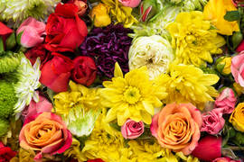 Какой цветок и число приносят вам энергию и равновесие согласно вашему знаку зодиака