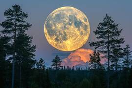 Лунный календарь на январь 2026 года: благоприятные и неблагоприятные дни