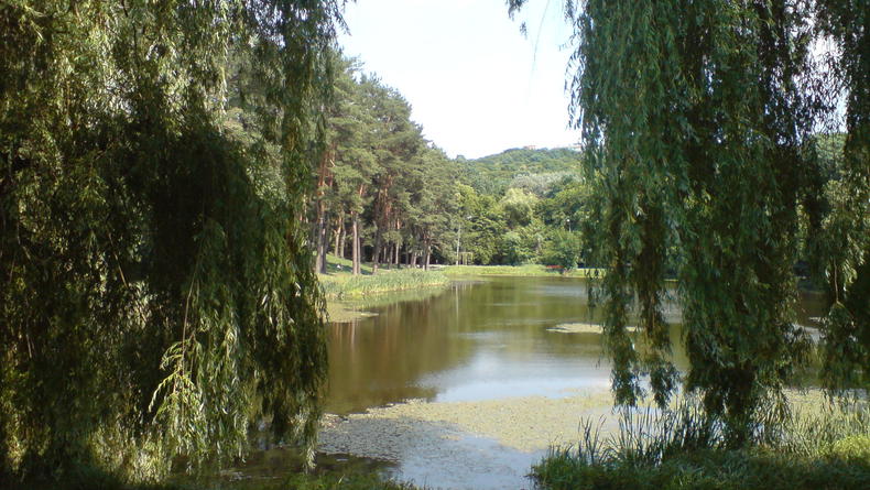 Голосеевский парк