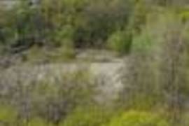 Урочище Бусово поле