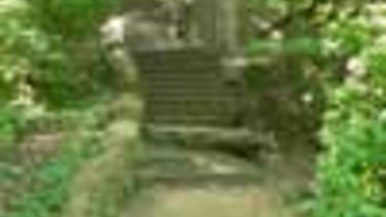 Древняя лестница на Замковую гору