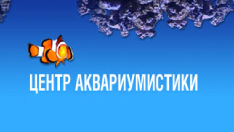 Киевский частный океанариум