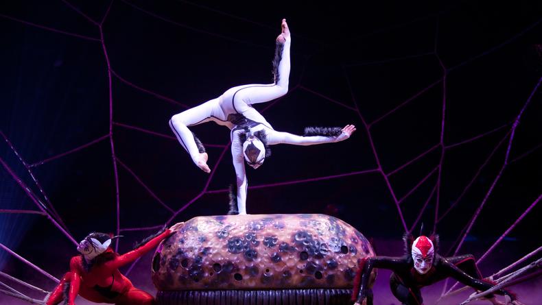 Cirque du Soleil выступит на церемонии Оскар 2012