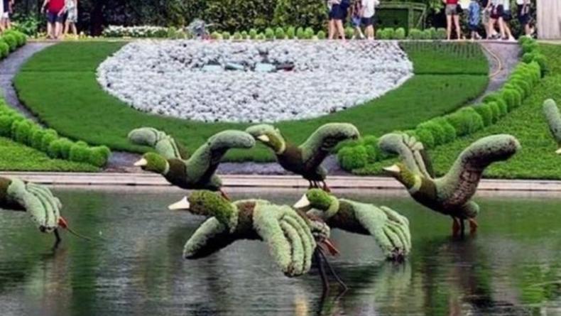 Первая в Украине выставка травяных скульптур