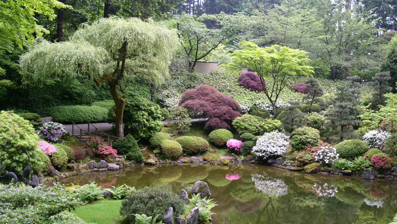В Ботсаду откроют второй в мире Корейский сад