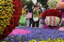 Ежегодный фестиваль цветов открылся в Гонконге (ФОТО)
