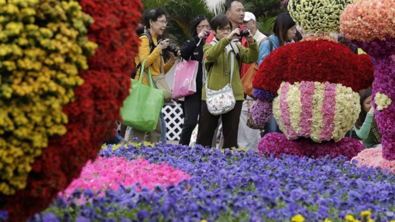 Ежегодный фестиваль цветов открылся в Гонконге (ФОТО)