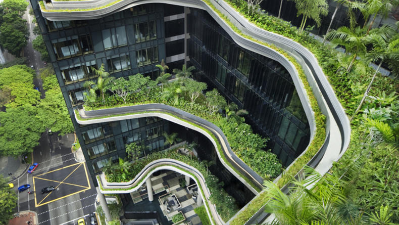Отель-сад в Сингапуре назван Отелем года 2013 (ФОТО)