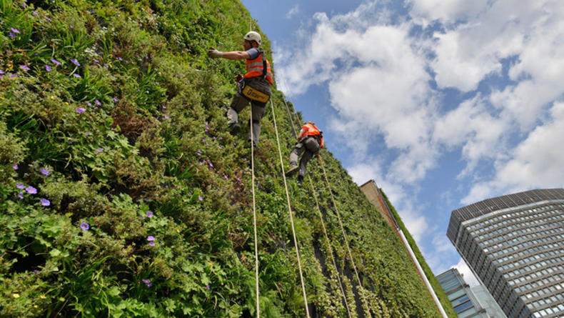 В Лондоне появилась самая большая стена из растений (ВИДЕО)