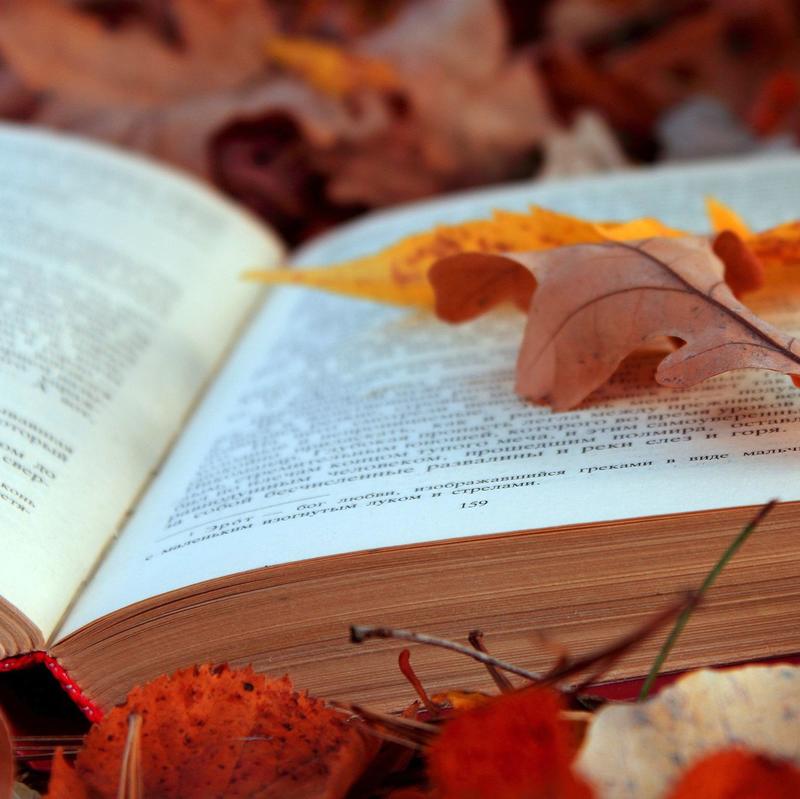 План действий на уикенд: тайны Apple, книги и Львов План действий на уикенд: тайны Apple, книги и Львов