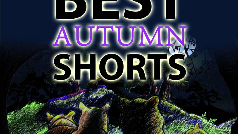 Best Autumn Shorts от New Vision 2013