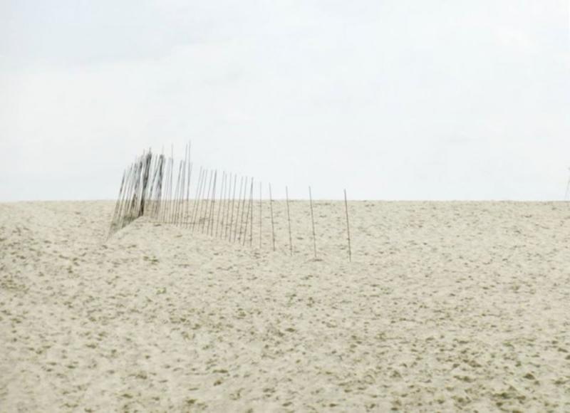 План действий на уикенд: фестиваль Ostrov и Троица