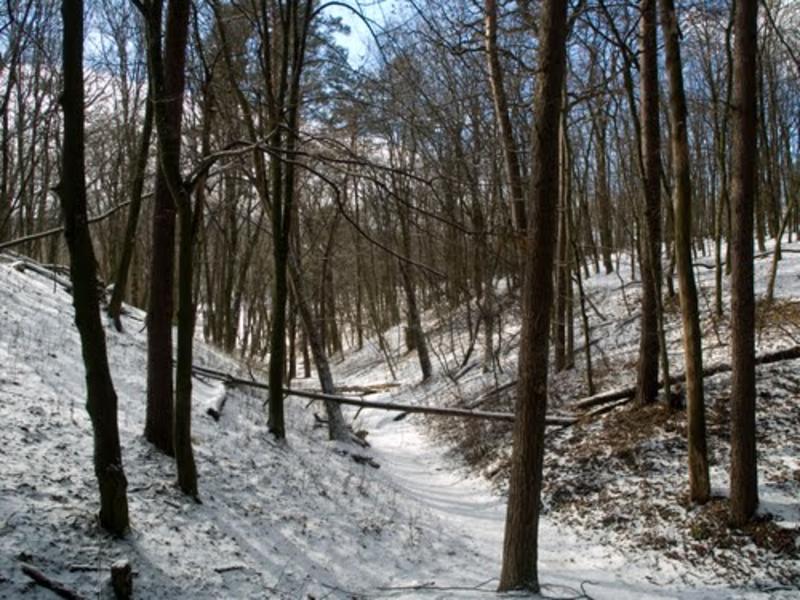 ТОП-10 мест в Киеве для катания на санках