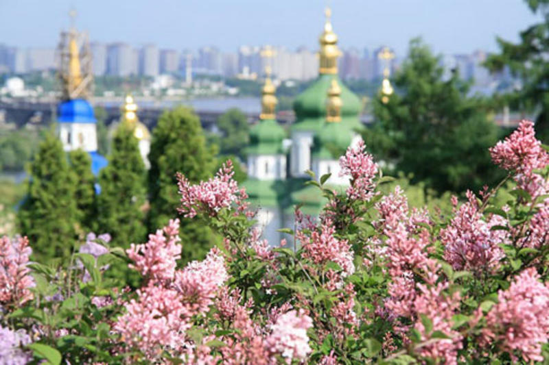 День Матери в Киеве: куда сводить маму на праздник День Матери в Киеве: куда сводить маму на праздник