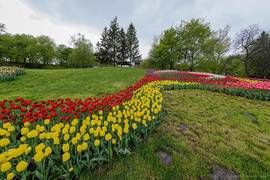Запорожец за Дунаем: оперу покажут под открытым небом