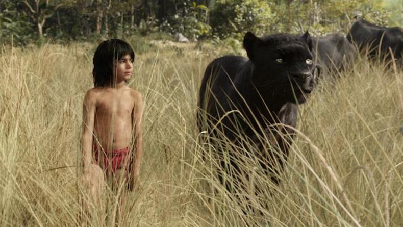 Маугли дружит с настоящим медведем и пантерой