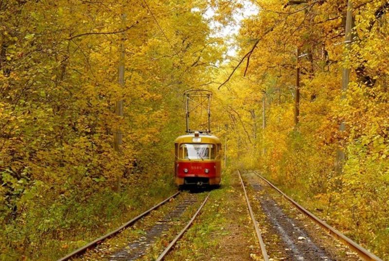 План действий на уикенд: Гогольfest и мужики