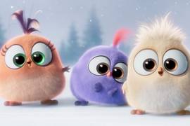 Птенцы из Angry birds записали поздравление с праздниками