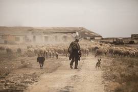 Украинка победила в международном фотоконкурсе