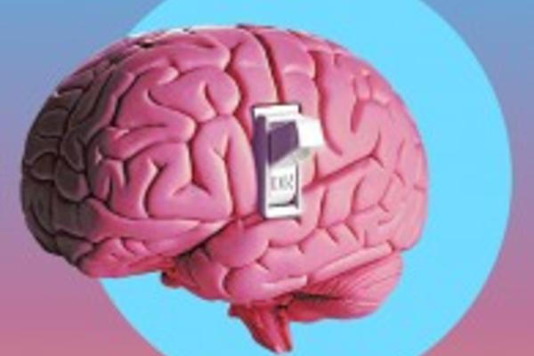 Летние образовательные лекции и программы в Киеве Летние образовательные лекции и программы в Киеве