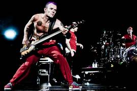 Red Hot Chili Peppers и Muse: главные концерты июля