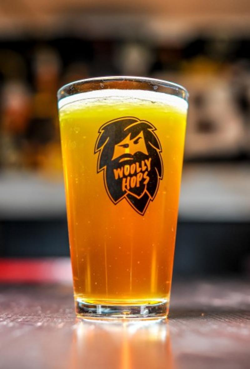 План действий на уикенд: Олимпиада и домашние питомцы