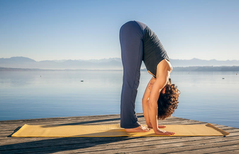 План действий на уикенд: Олимпиада и домашние питомцы