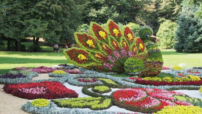 В Киеве стартует ежегодная выставка цветов