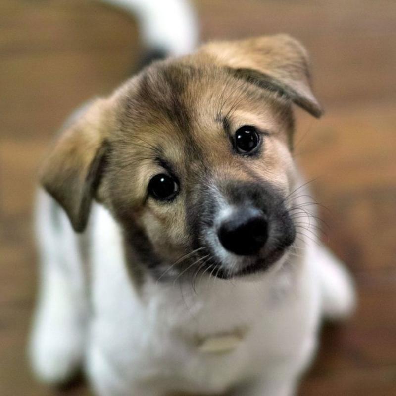 Чем заняться в Киеве в лишний выходной