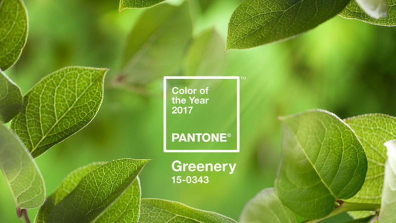 Институт цвета Pantone назвал главный цвет 2017 года