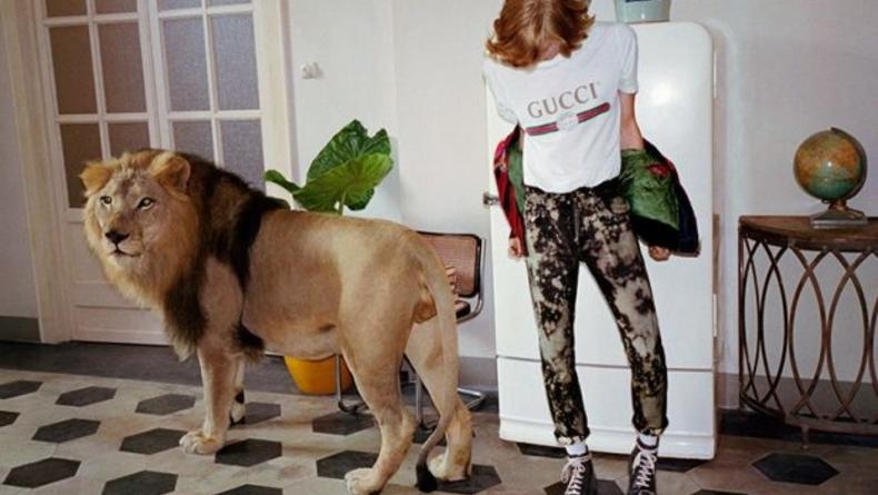 Львы и тигры в новой рекламе Gucci