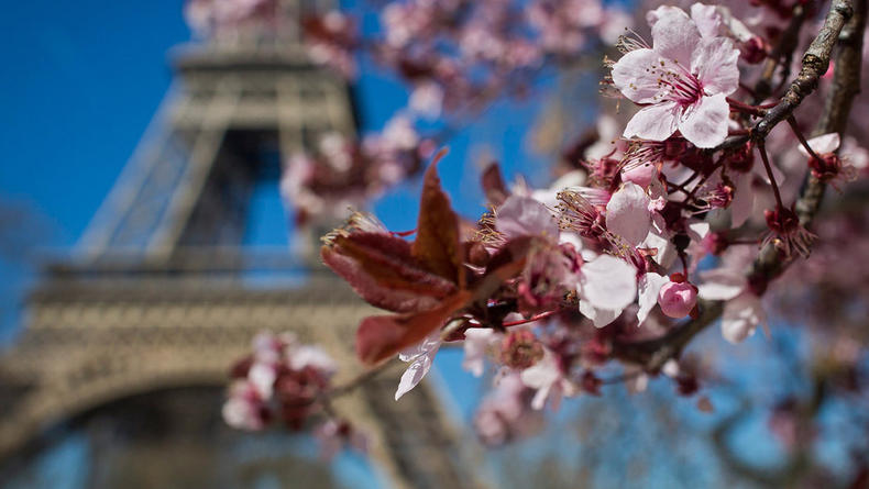 1 апреля в Киеве стартует Французская весна