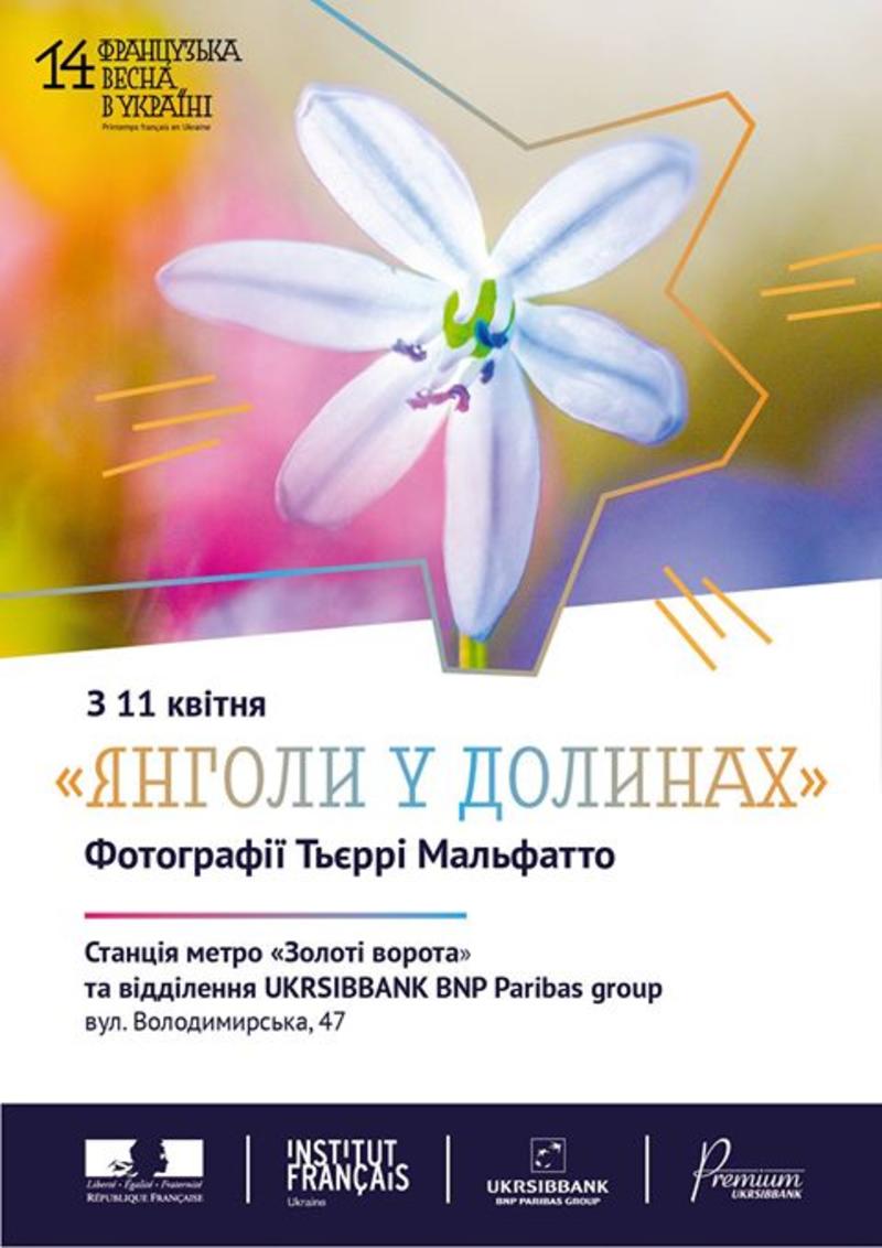 Куда пойти на неделе: Форсаж и чистое искусство Куда пойти на неделе: Форсаж и чистое искусство