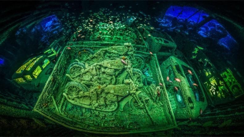 Определены лучшие подводные фотографии 2018 года