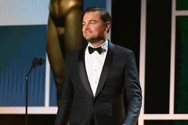 Стало известно, в каком новом фильме снимется ДиКаприо