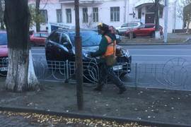Охотник за травой: В Киеве мужчина косил невидимую растительность