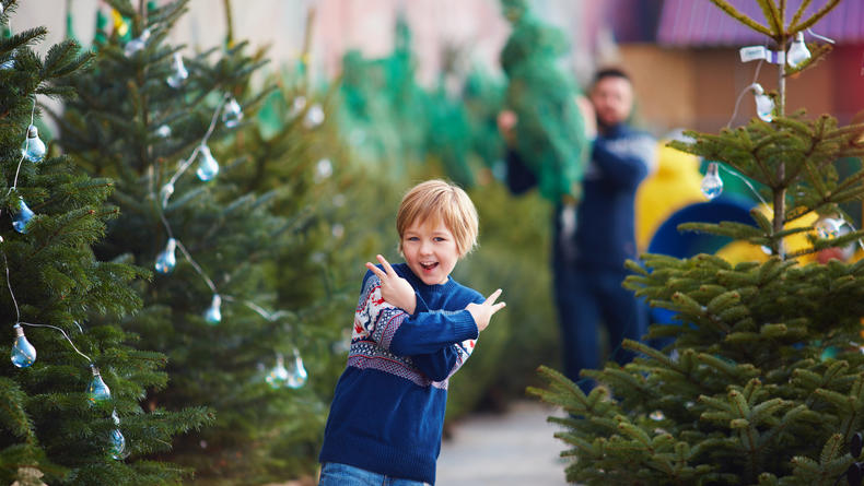 Где в Киеве купить новогоднюю елку: Точки во всех районах столицы