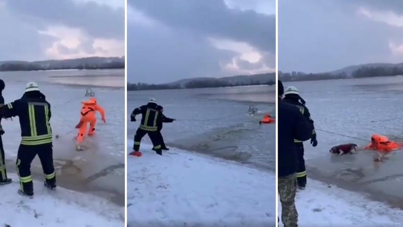 Сотрудники ГСЧС показали спасение в Киеве провалившегося под лед пса