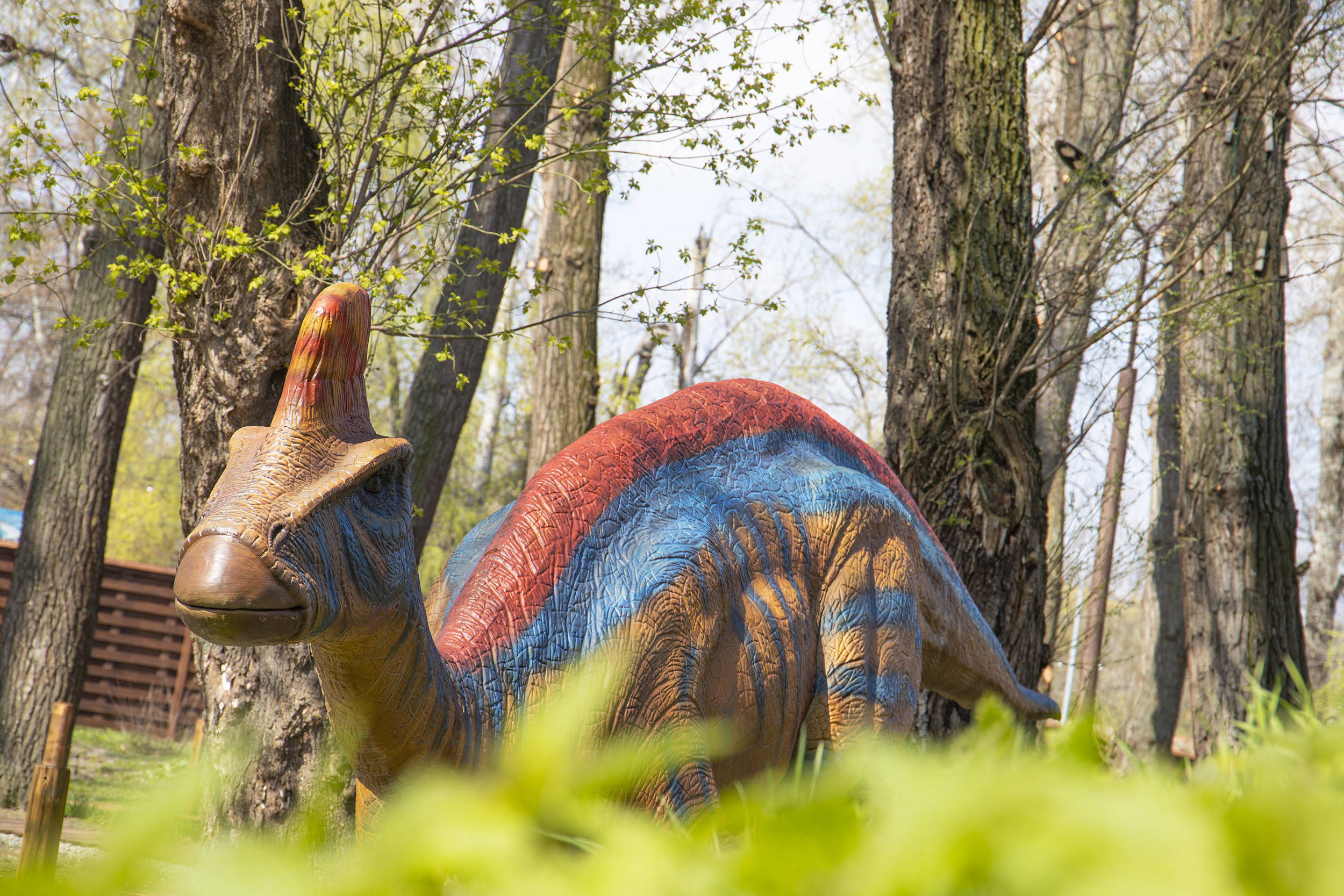 официальный портал Киева