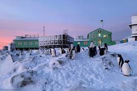 Украинские полярники превращают отходный пластик в сувениры
