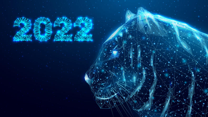 В чем встречать год Черного Водяного Тигра — удачные и запретные цвета