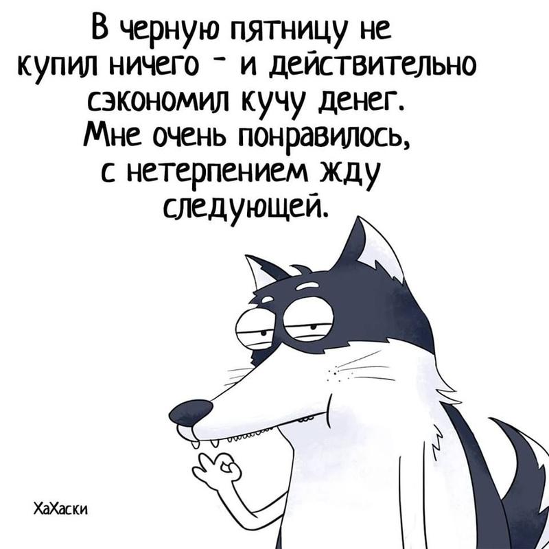 Пользователи шутят на тему "скидок" в Черную пятницу. Пользователи шутят на тему "скидок" в Черную пятницу.