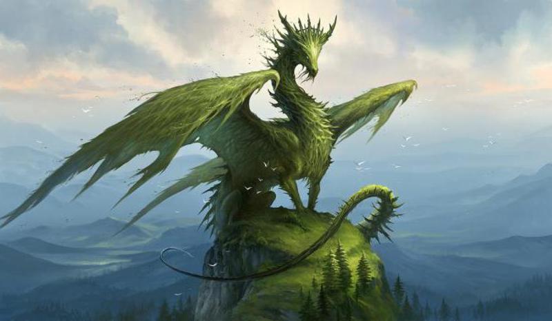 Что «любит» Зеленый Дракон