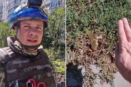 Комаров показал смертоносные "лепестки" на деоккупированных территориях
