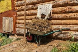 Какой церковный праздник 17 октября - традиции и что нельзя делать