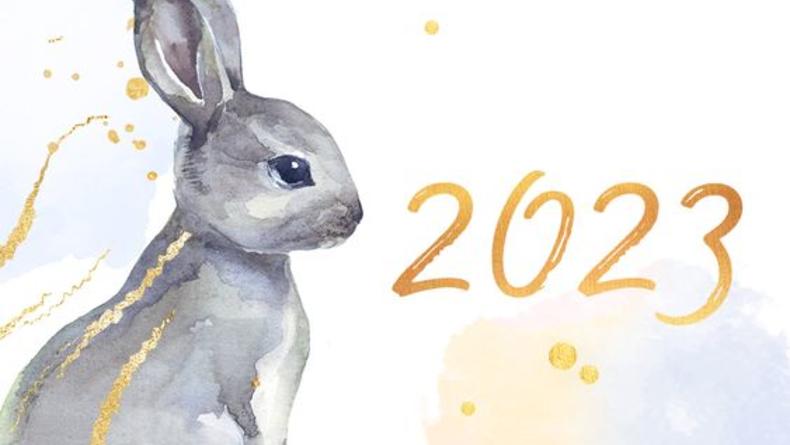 Гороскоп для Кролика на 2023 год на финансы, любовь и здоровье