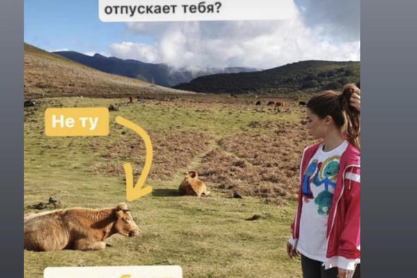 Мудрая ответила на подколки Алекса.