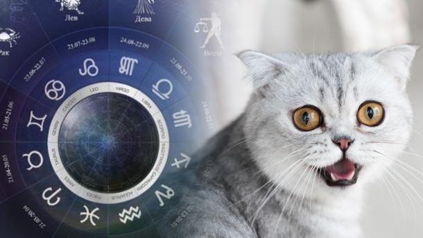 Гороскоп на 18 февраля 2023 года для всех знаков зодиака Гороскоп на 18 февраля 2023 года для всех знаков зодиака